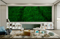 An artistic sports arena mural on minimalist wallpaper.

