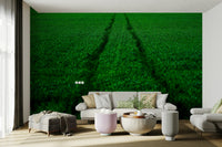 A beautiful runner silhouette wall mural for a training space.

