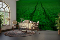 A classic sports theme wallpaper for walls.

