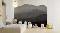 A beautiful desert mountain wallpaper mural for a modern home.

