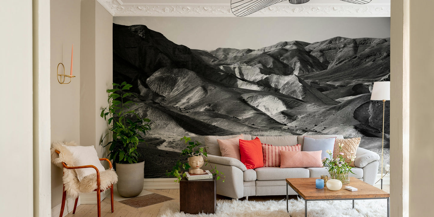 A contemplative desert vista wallpaper mural for a feature wall.

