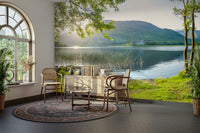 An artistic nature inspired mural for home decor.

