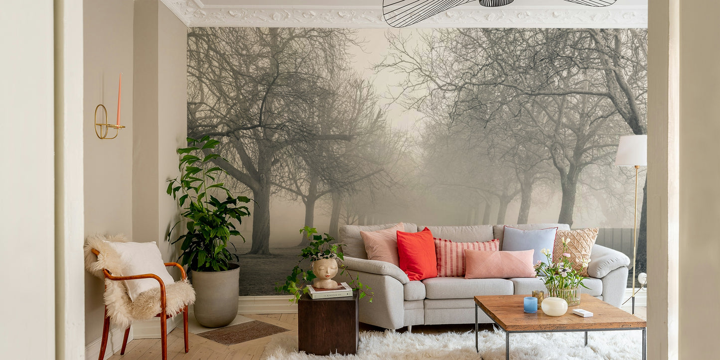 A contemplative misty forest wallpaper mural for a feature wall.

