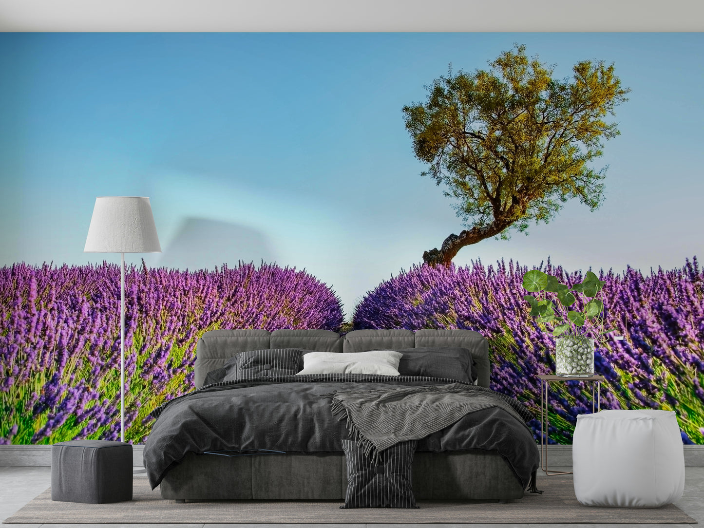 Lavender Field Wall Mural