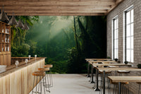 A contemplative misty forest wallpaper mural for a feature wall.

