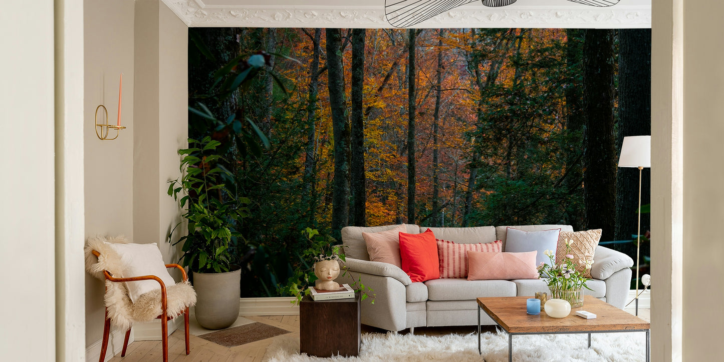 A tranquil woodland scene wall mural for your decor.

