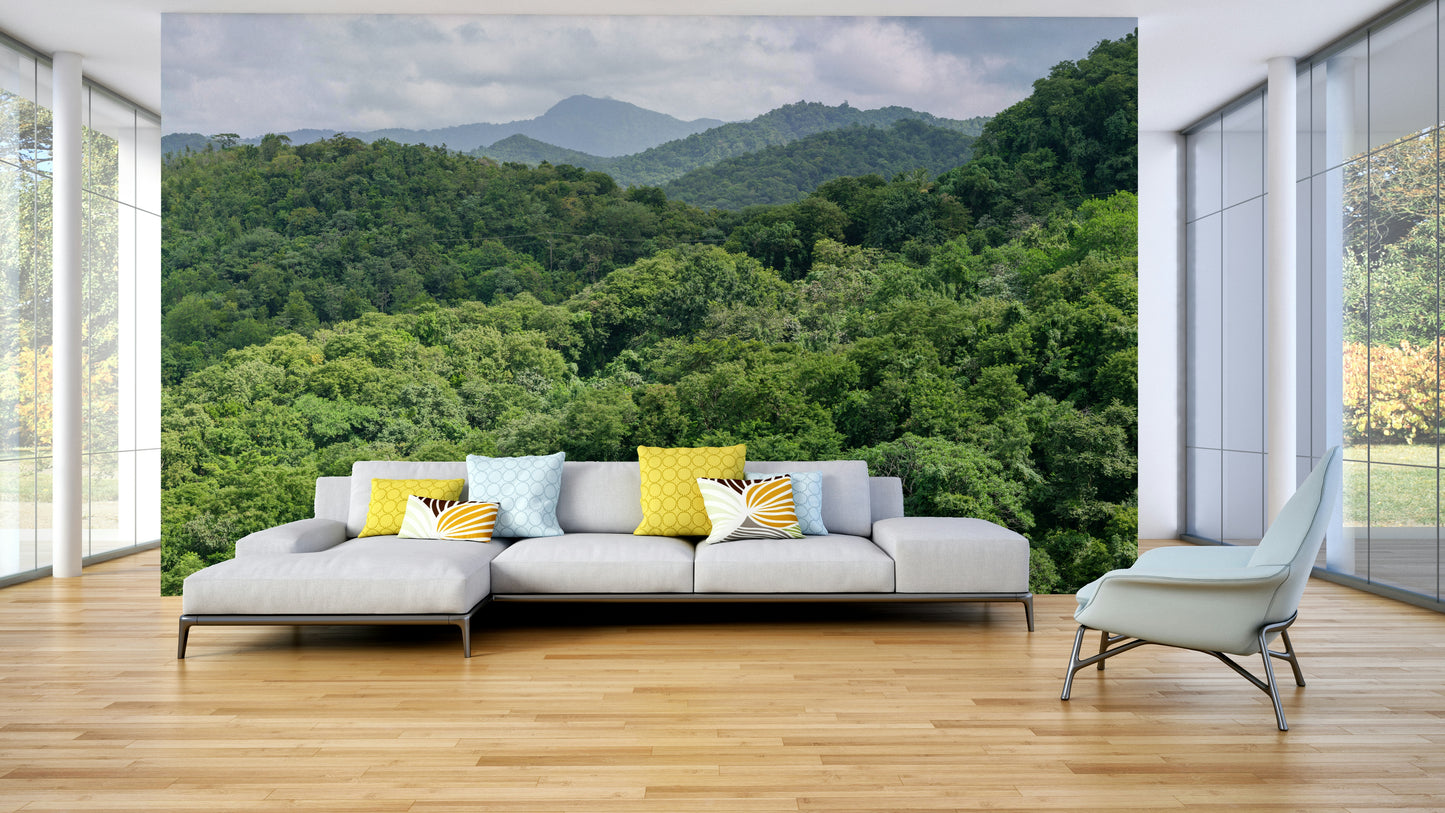 A classic natural theme wallpaper for walls.

