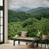 A calming serene mountain wallpaper mural that defines a space.

