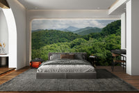 A graceful subtle slope wall mural in cool, natural tones.

