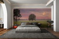 A calming serene field wallpaper mural that defines a space.

