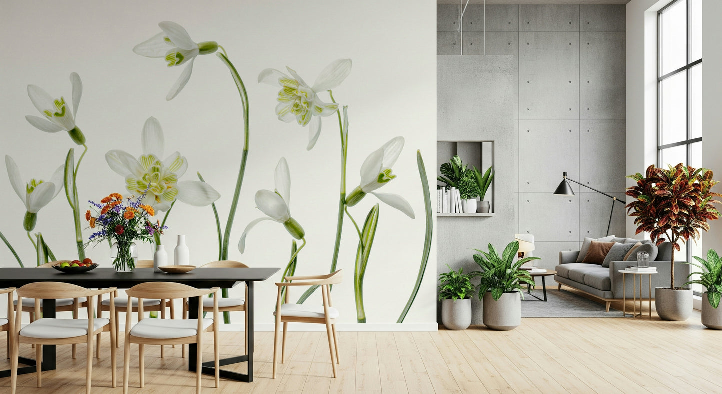 A contemplative white flower wallpaper mural for a feature wall.


