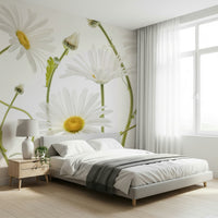 A classic daisy field wallpaper for walls.


