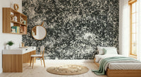 A serene subtle pattern wall mural in black and white tones.