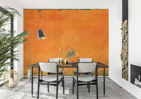 An artistic minimalist form mural for home decor.