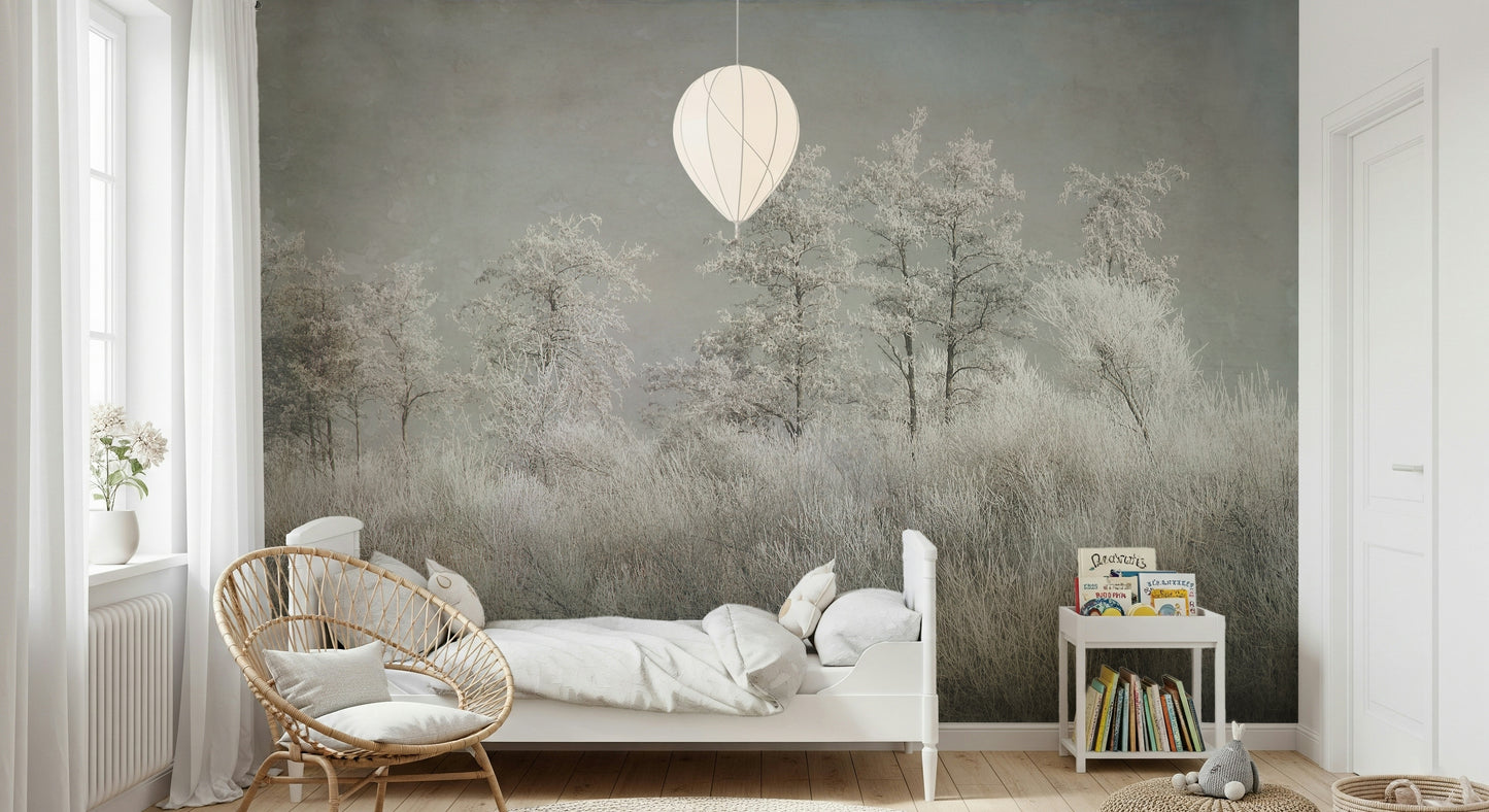 Frosted Stillness Wall Mural -1646833