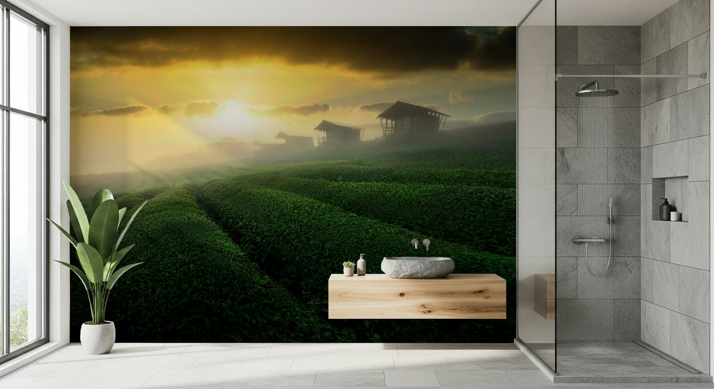 Golden Mist Tea Estate Wall Mural -2353176