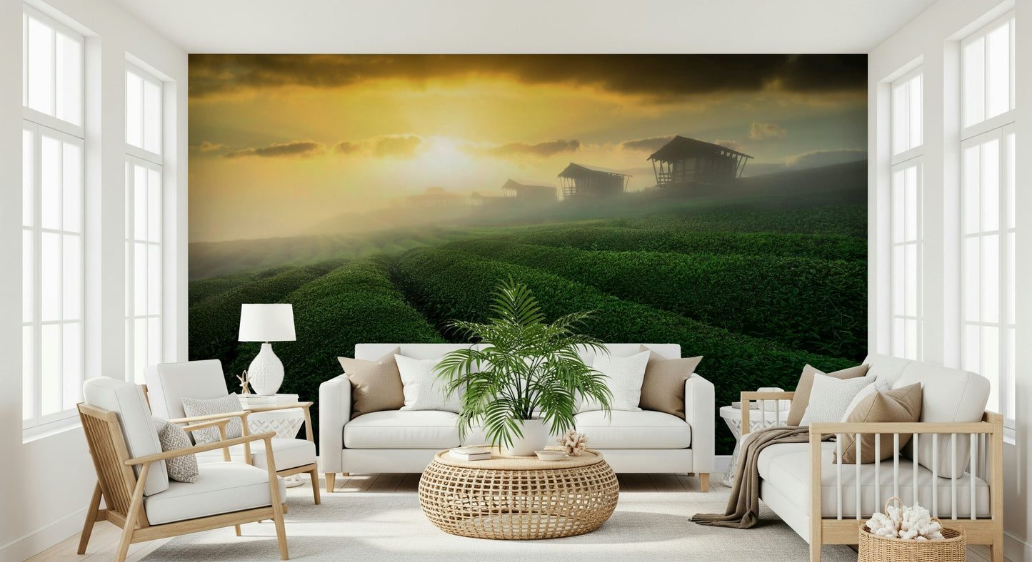 Golden Mist Tea Estate Wall Mural -2353176