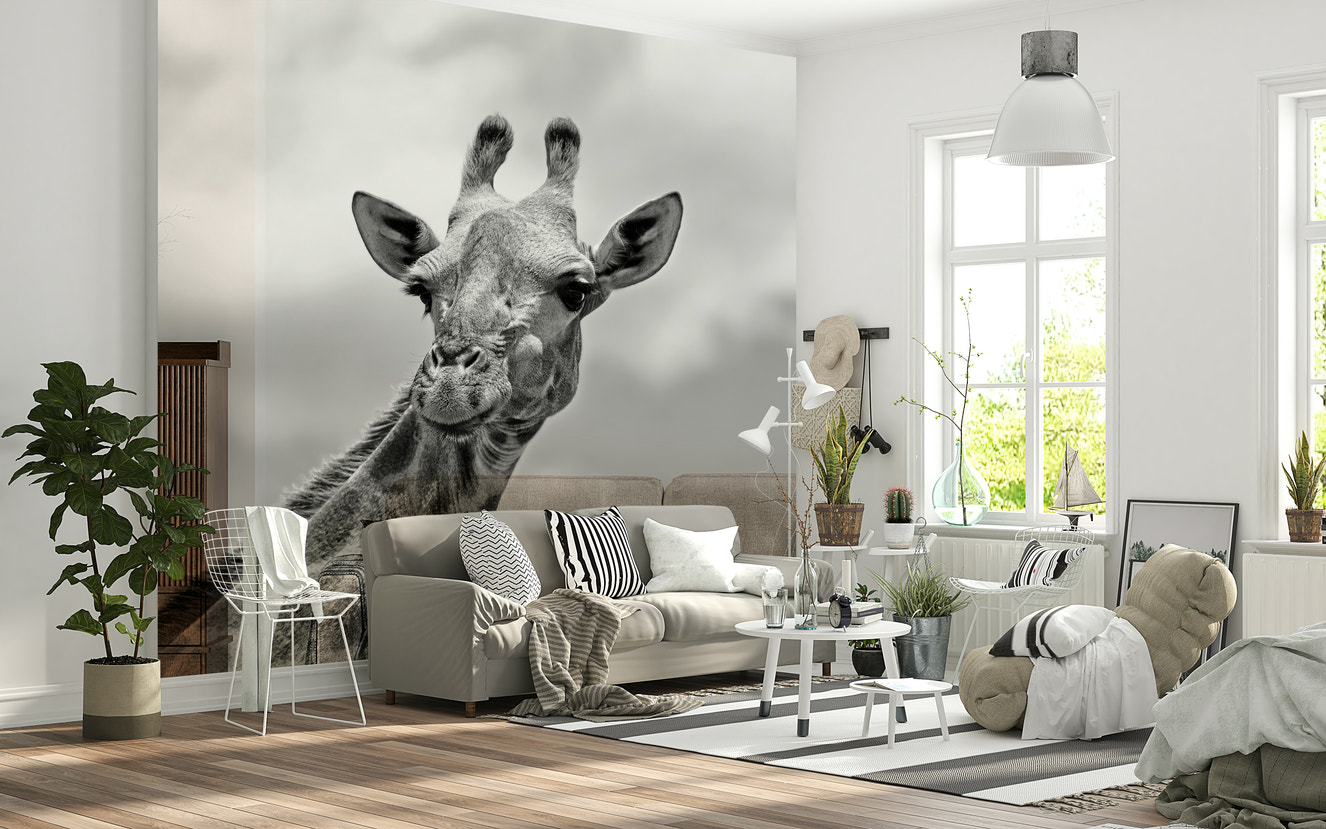 Giraffe in Gray Wall Mural -2322109