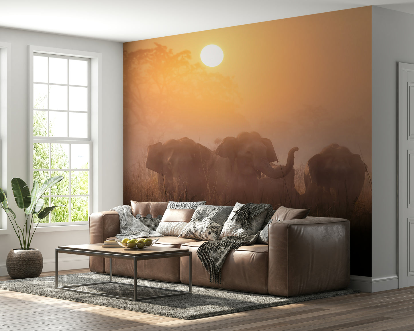 Golden Dawn Elephants Wall Mural -2425886