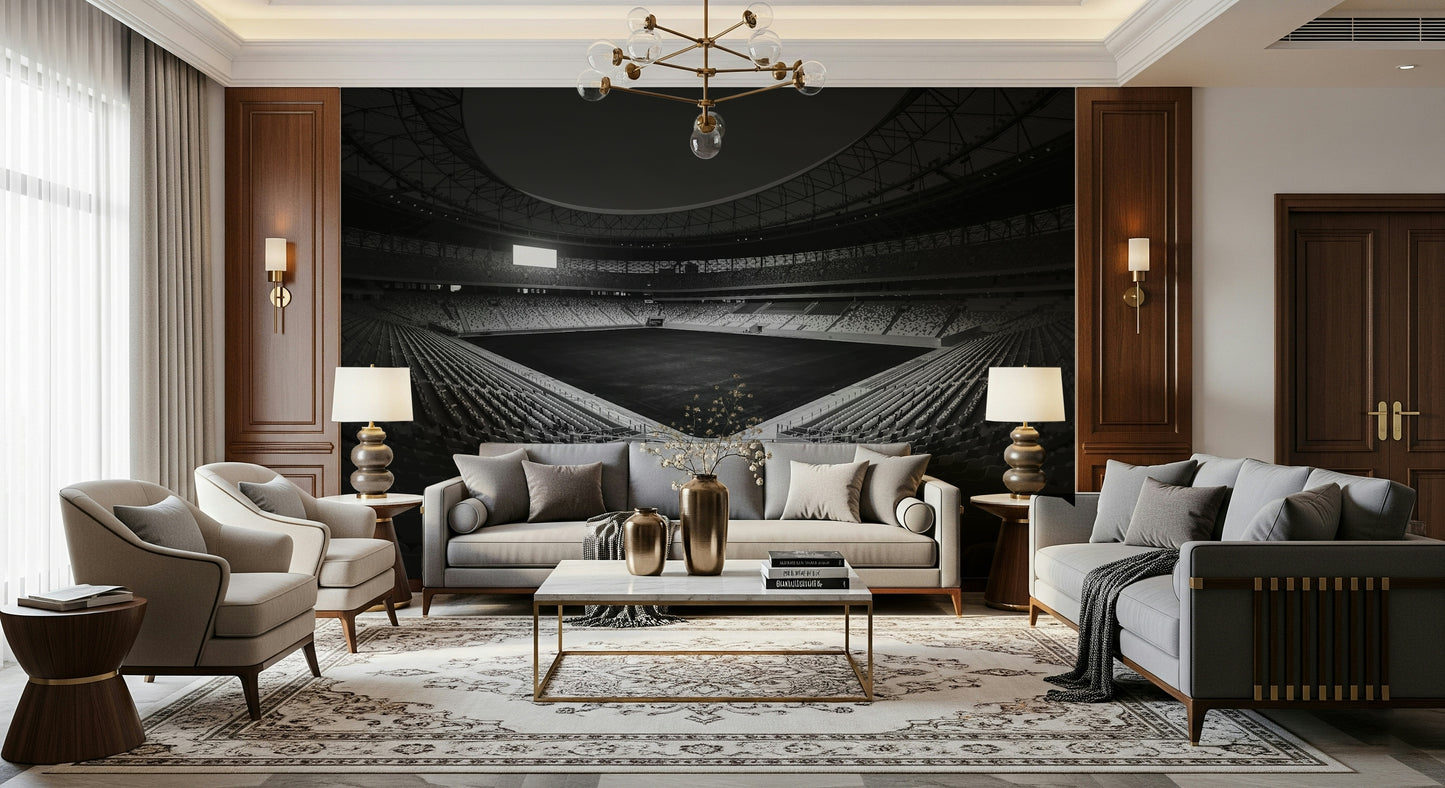 Stadium in Monochrome Wall Mural -2178152