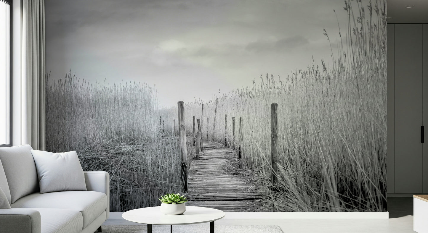 Monochrome Marsh Path Wall Mural -2487649