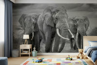 Elephant Majesty Wall Mural — powerful and graceful elephant with a calm, earthy backdrop.
