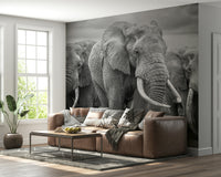 Wall mural with a majestic elephant captured in realistic, lifelike detail.