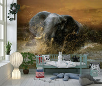 Elephant Splash Wall Mural – Artistic mural capturing movement, energy, and the charm of elephants in water.
