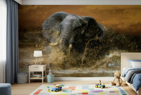 Nature and Elephants Wall Mural – Majestic elephants in a tranquil environment, ideal for nature-inspired décor.