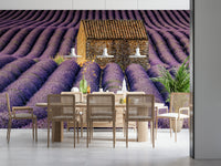 Lavender Haven wall covering featuring endless purple blooms and gentle sky tones.