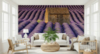 Blooming lavender field mural with soft hues for a relaxing, elegant space.