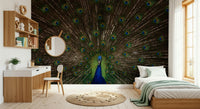 Ornamental peacock wallpaper creating a sophisticated, exotic vibe.