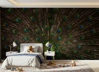 Peacock Pride Wall Mural featuring a vibrant peacock with detailed feathers.