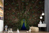 Peacock Pride Wall Mural with striking colors and intricate feather designs.