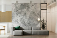 Wall mural depicting flowing gray marble veins for a sleek and timeless look.