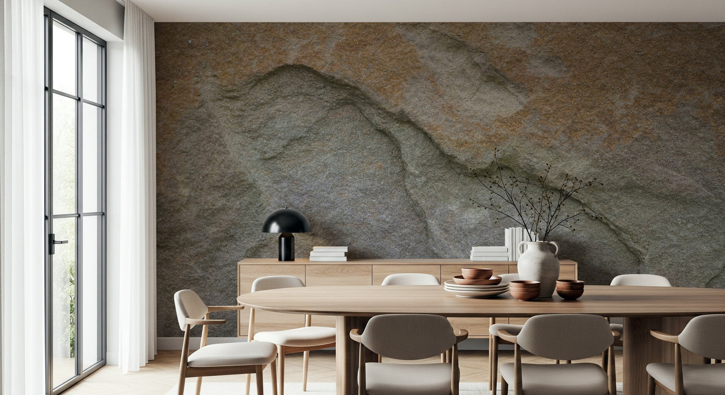 Eroded Rock Face Wall Mural -2566610