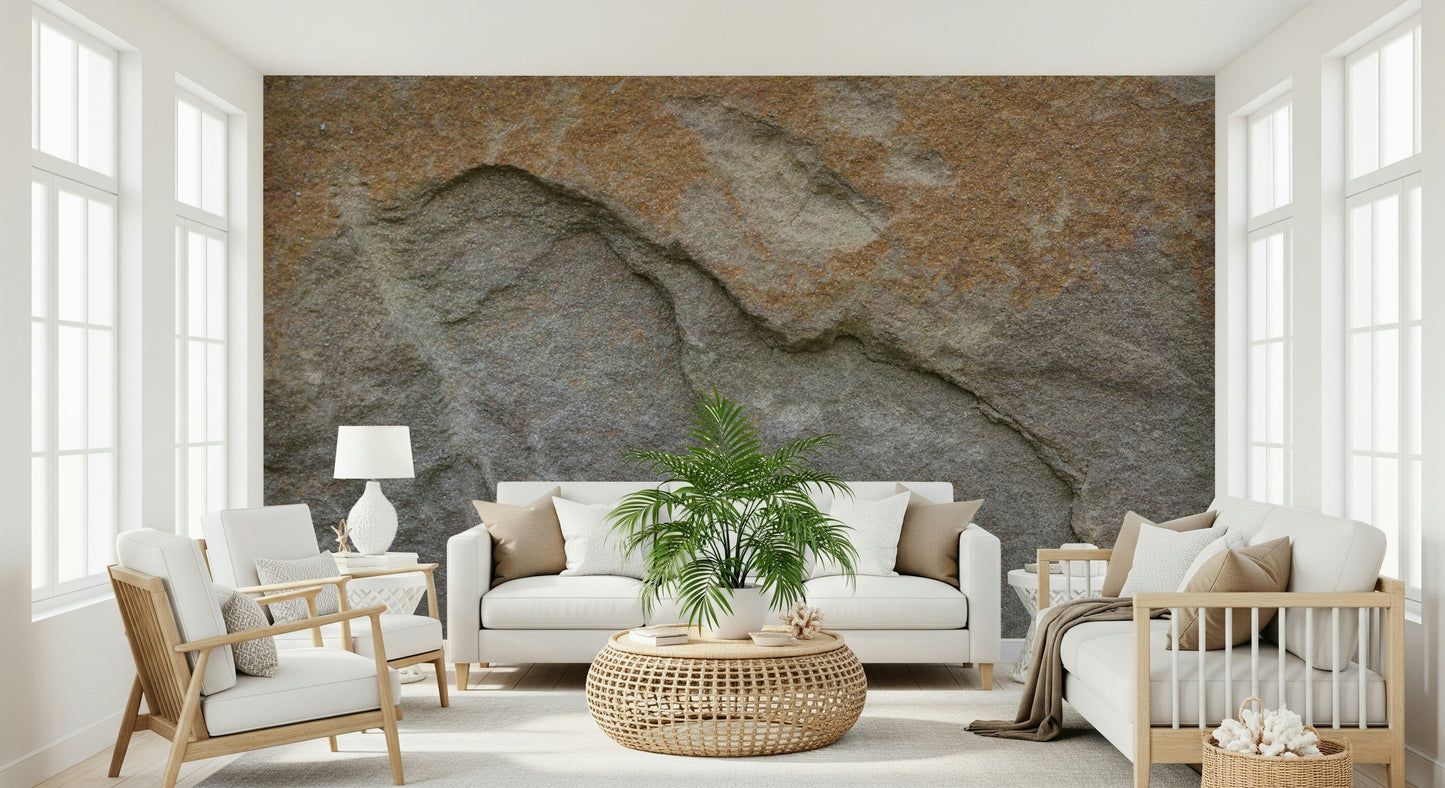 Eroded Rock Face Wall Mural -2566610