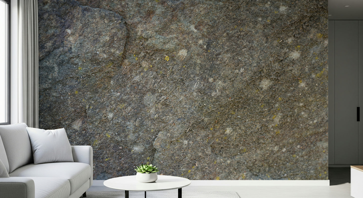 Textured Rock Surface Wall Mural -2566614