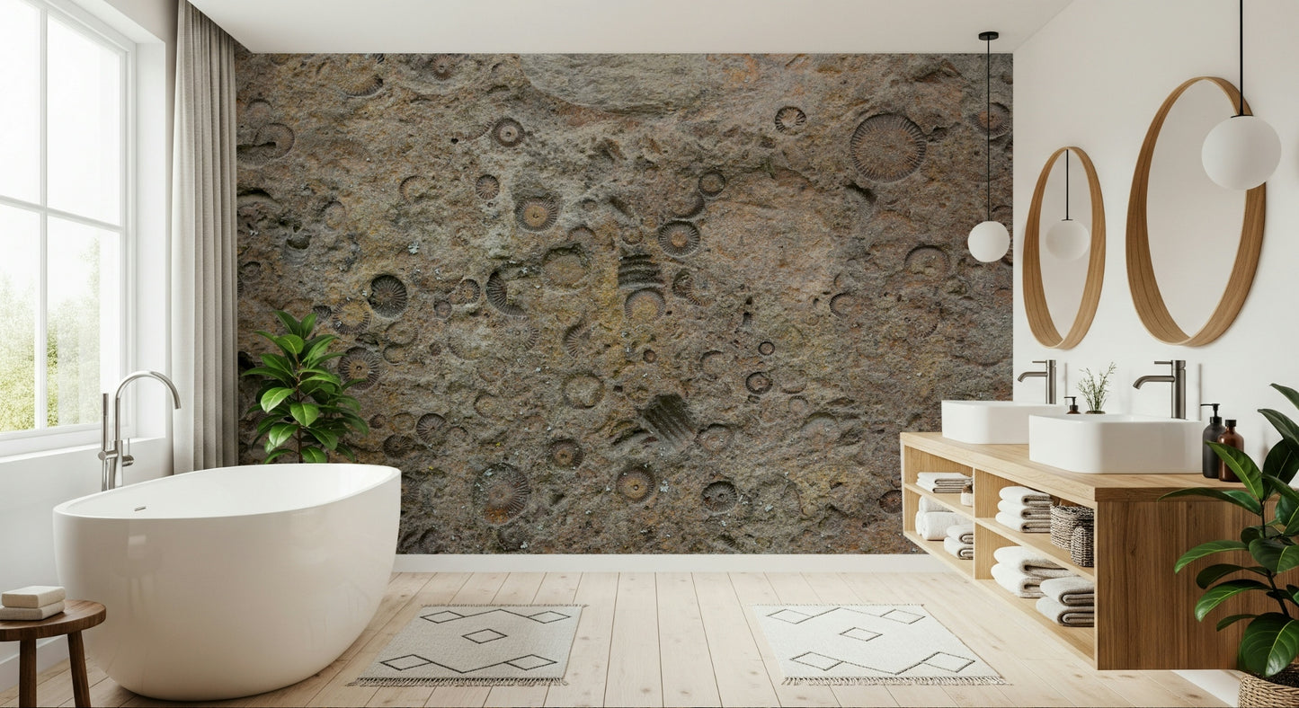 Ancient Fossil Texture Wall Mural -2566608