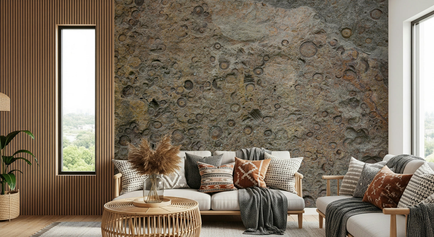 Ancient Fossil Texture Wall Mural -2566608