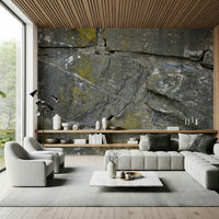Textured wall mural with weathered, cracked stone patterns creating a bold accent wall.