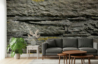 Wall mural featuring earthy stone layers with natural imperfections for authentic rustic appeal.