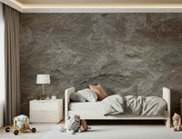 Wall mural showcasing delicate, whisper-like stone textures for modern, minimalist, or rustic décor.