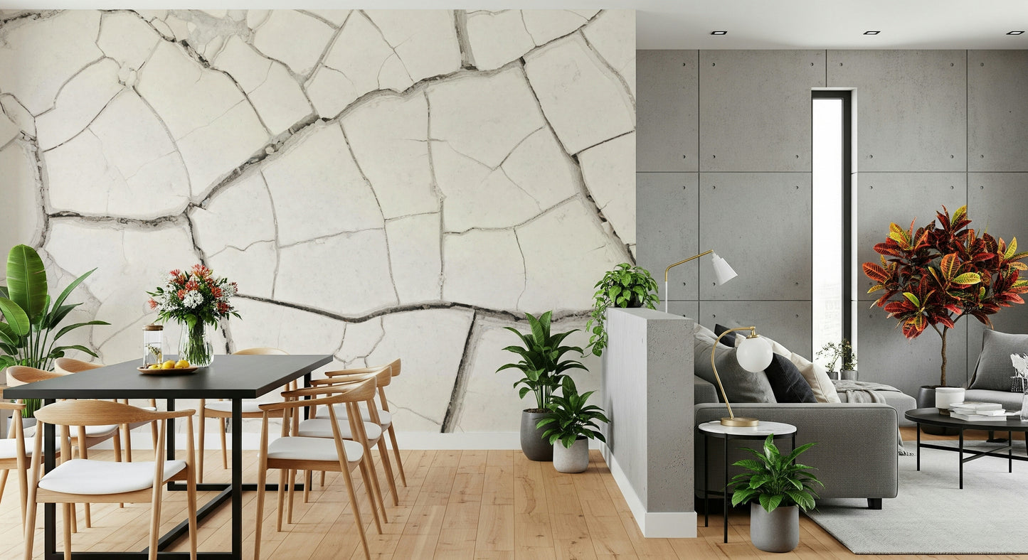 Arid Earth Abstract Wall Mural -2306166