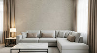 Decorative wall covering featuring neutral beige plaster finish