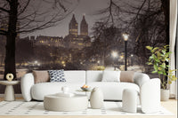 Park Path at Night winter cityscape mural wallpaper accent