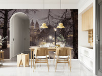 Nocturnal ambiance Park Path at Night wallpaper for walls print