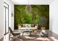 Deep woods pathway wall mural brown dirt floor leafy accents.