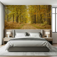 Nature's beauty Golden Canopy Trail wall mural for peaceful interiors.