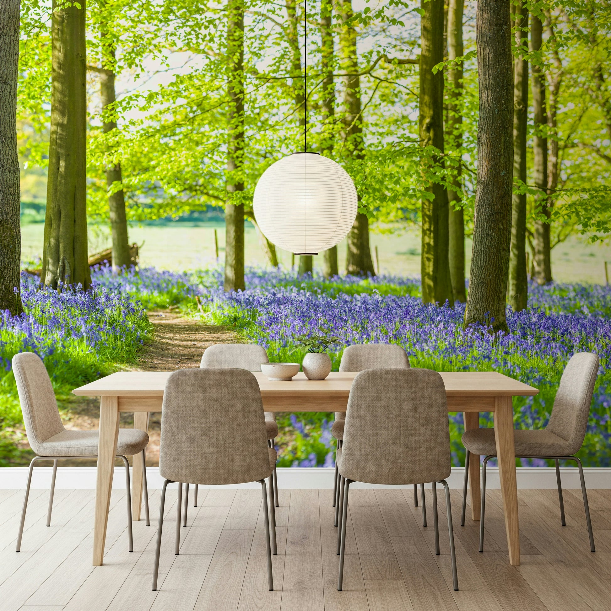 Amazing Bluebell Wonderland wallpaper woodland walk colorful scene